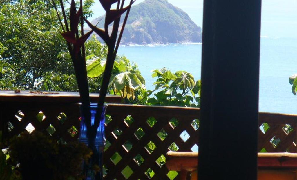 Jungle Villa Manuel Antonio Exterior foto