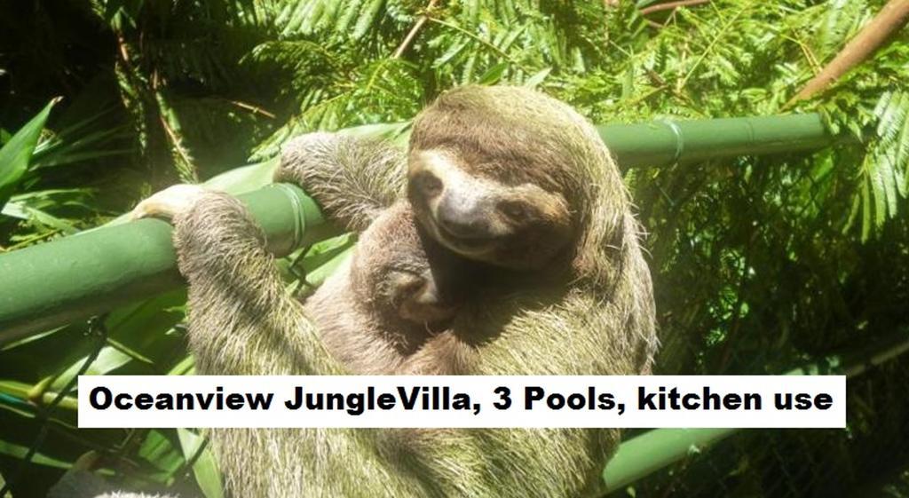 Jungle Villa Manuel Antonio Exterior foto
